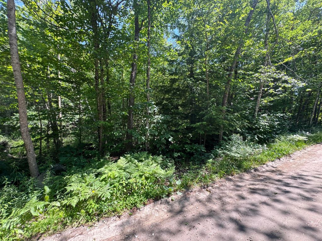 Lot 19 Thomas Pond Shore Road, Casco, ME 04015 — photo 5
