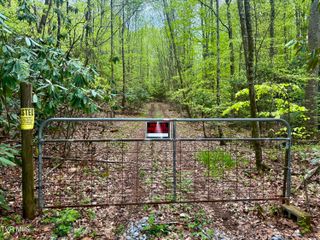 57/Ac Tbd Powder Branch Road, Elizabethton, TN 37643