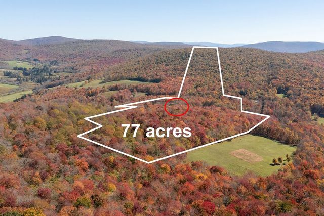 3199 Coulter Brook Road, Bovina, NY 13740