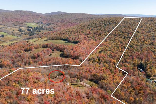 3199 Coulter Brook Road, Bovina, NY 13740