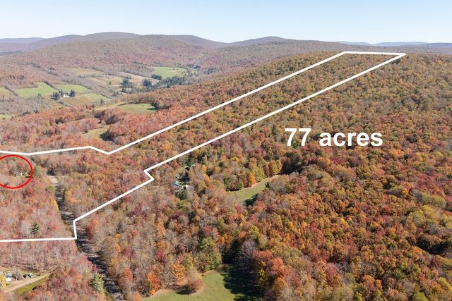 3199 Coulter Brook Road, Bovina, NY 13740