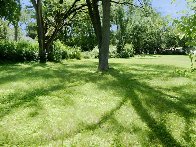 18055 Thomas Lane, Country Club Hills, IL 60478