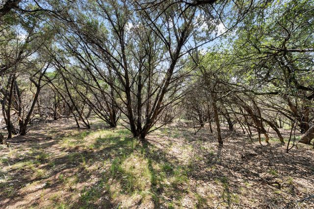 21105 Ridgeview RD, Lago Vista, TX 78645