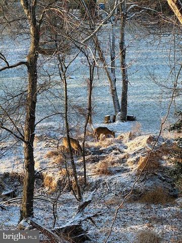 21 SANDSTONE CT, Baltimore, MD 21236