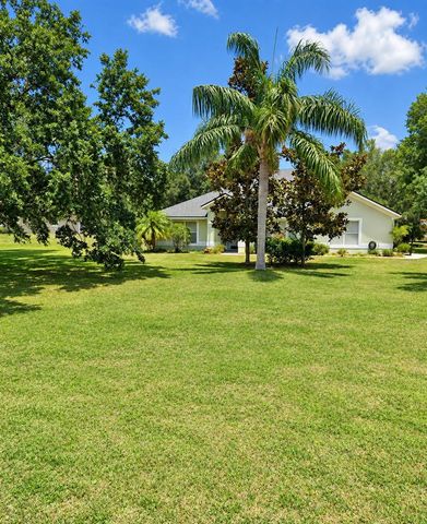 24107 MILFORD DRIVE, Eustis, FL 32736