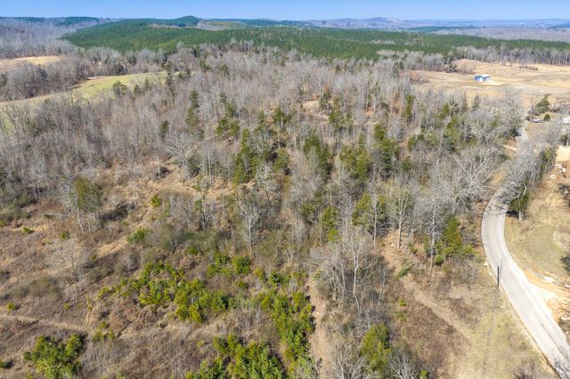 0 Mt Carmel Road, Decaturville, TN 38329