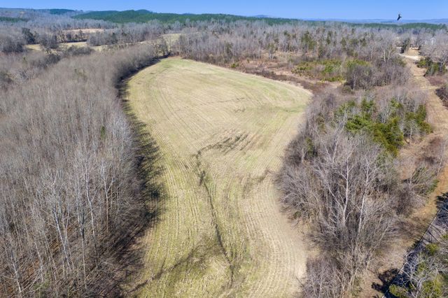 0 Mt Carmel Road, Decaturville, TN 38329