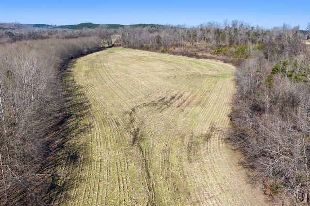 0 Mt Carmel Road, Decaturville, TN 38329