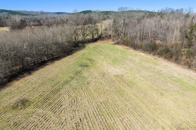 0 Mt Carmel Road, Decaturville, TN 38329