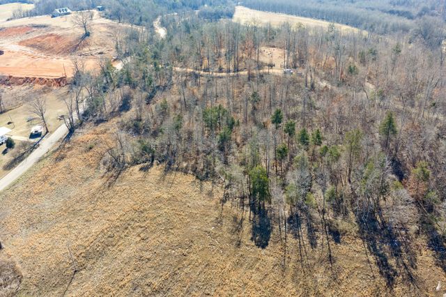 0 Mt Carmel Road, Decaturville, TN 38329