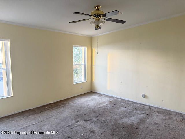 9280 Salvini Drive, Brooksville, FL 34613