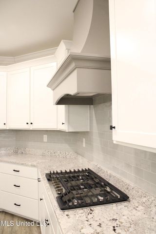 Lot 99 Baisley Drive, Nesbit, MS 38651