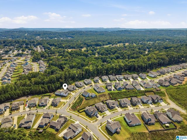 405 WISHFORD CIRCLE, Helena, AL 35080
