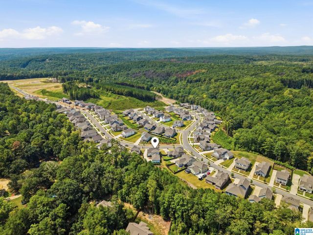 405 WISHFORD CIRCLE, Helena, AL 35080