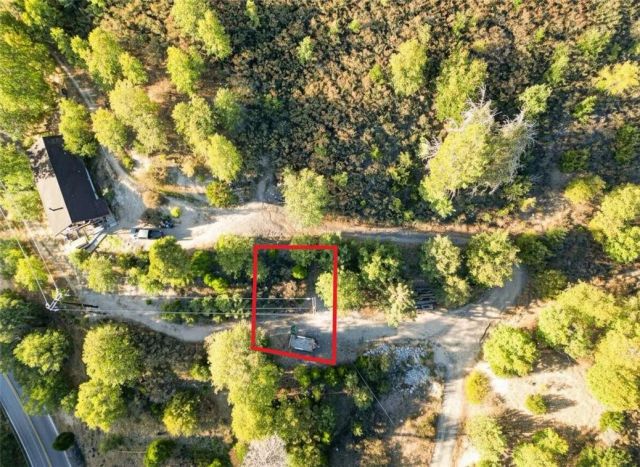 299 Pine, Cedar Glen, CA 92321