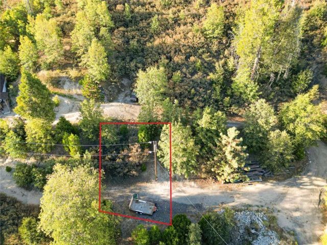 299 Pine, Cedar Glen, CA 92321