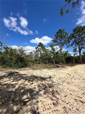 3239 W Kirkwood Place, Dunnellon, FL 34433