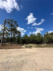 3239 W Kirkwood Place, Dunnellon, FL 34433