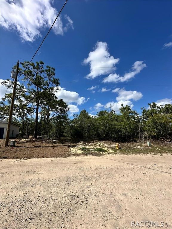 3239 W Kirkwood Place, Dunnellon, FL 34433