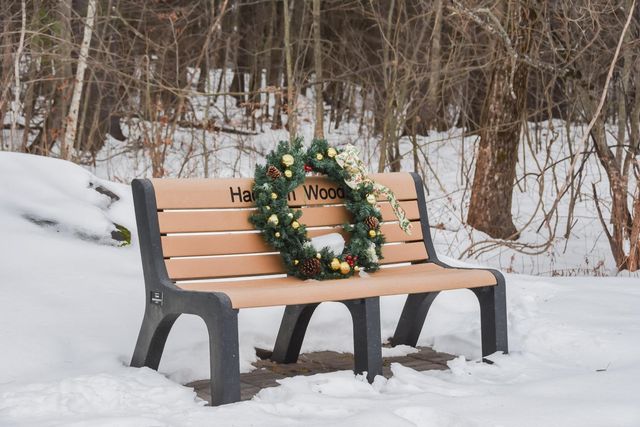 46 Hadleigh Road, Windham, NH 03087