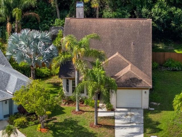 8601 TWIN FARMS PL, Tampa, FL 33635