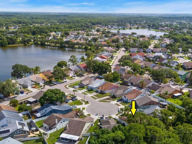 8601 TWIN FARMS PL, Tampa, FL 33635