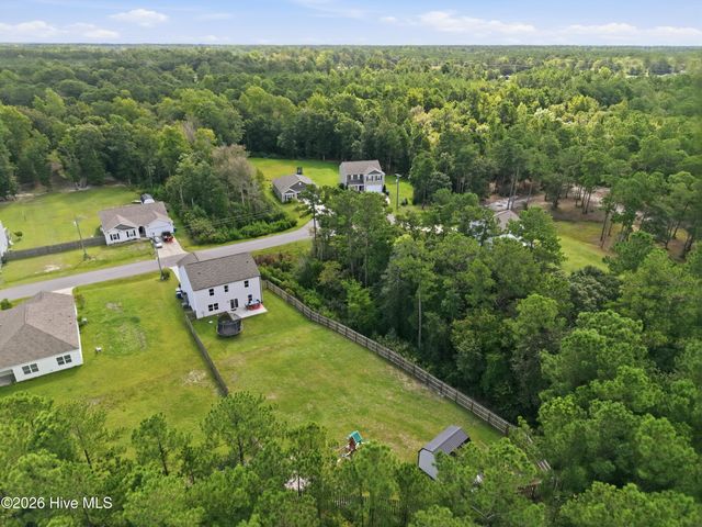 420 High Ridge Court, Sneads Ferry, NC 28460