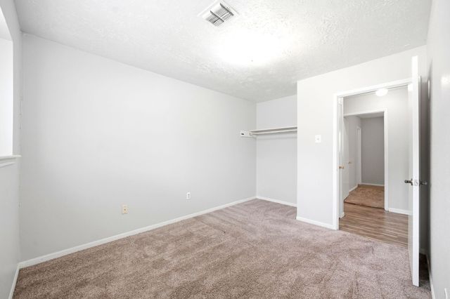 23303 Berry Pine Drive, Spring, TX 77373
