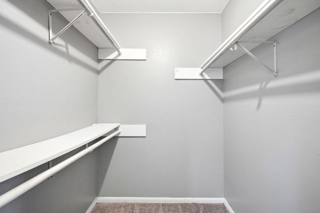 23303 Berry Pine Drive, Spring, TX 77373