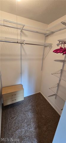 5514 Wrens Lane C, Willoughby, OH 44094