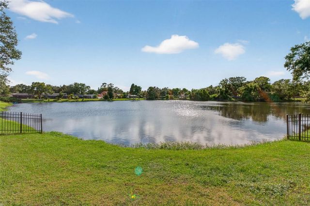 3903 DUNAIRE DRIVE, Valrico, FL 33596