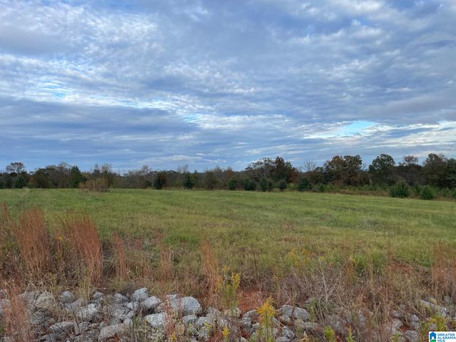 0 Payton Dr, Lo CADES COVE ROAD, Hayden, AL 35079