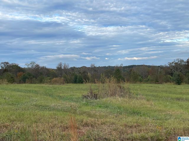 0 Payton Dr, Lo CADES COVE ROAD, Hayden, AL 35079
