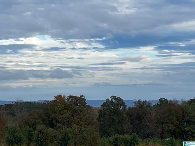 0 Payton Dr, Lo CADES COVE ROAD, Hayden, AL 35079