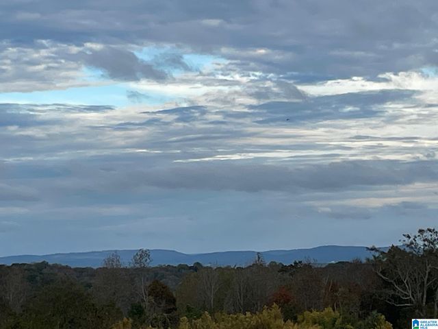 0 Payton Dr, Lo CADES COVE ROAD, Hayden, AL 35079