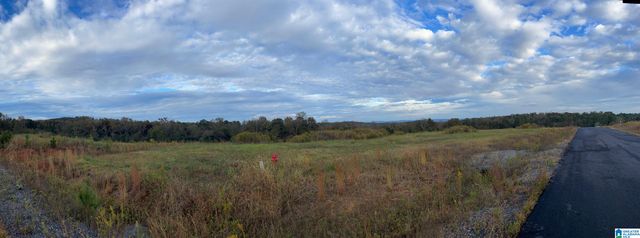 0 Payton Dr, Lo CADES COVE ROAD, Hayden, AL 35079