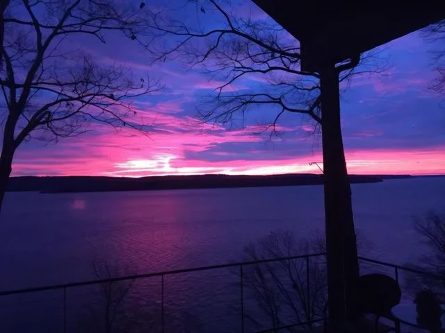 60 WILDFERN LN, Counce, TN 38326