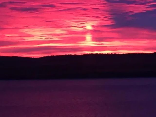 60 WILDFERN LN, Counce, TN 38326