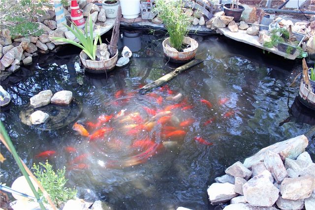 519 Stahlman Drive, Bullhead City, AZ 86442