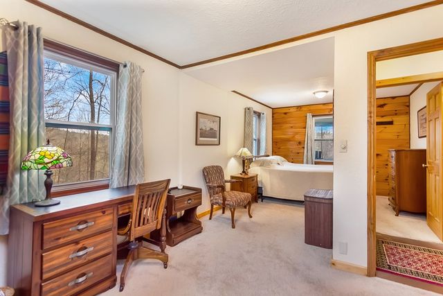 82 Dawgs Drive, Mineral Bluff, GA 30559