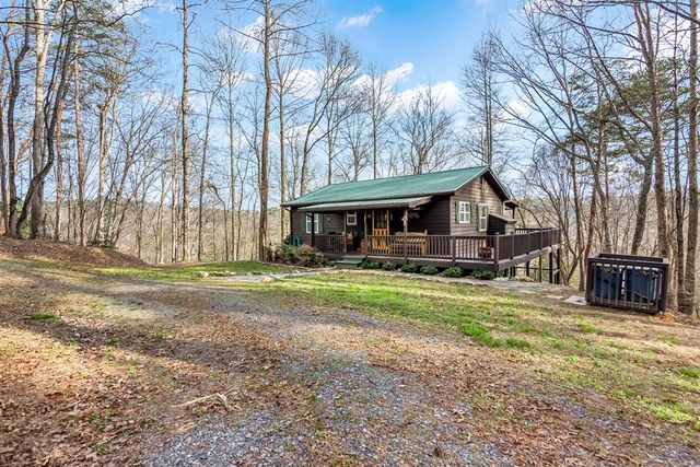 82 Dawgs Drive, Mineral Bluff, GA 30559