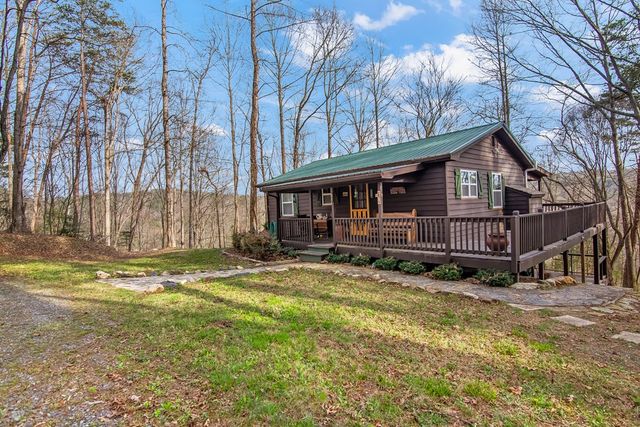 82 Dawgs Drive, Mineral Bluff, GA 30559