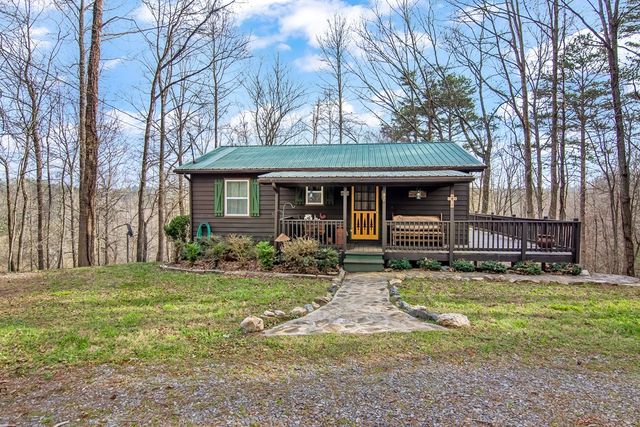 82 Dawgs Drive, Mineral Bluff, GA 30559