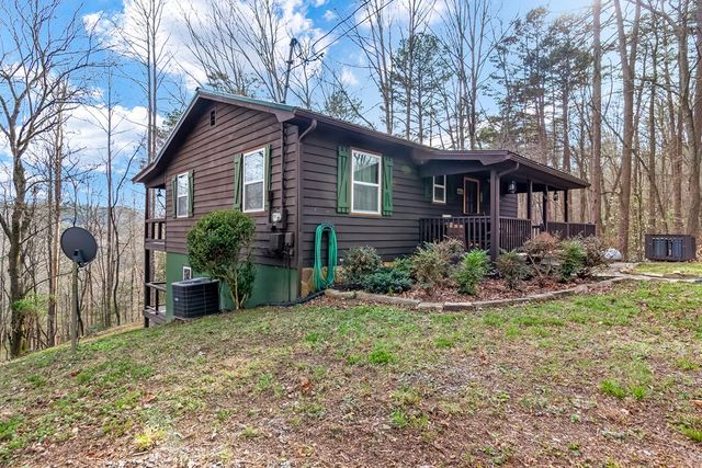 82 Dawgs Drive, Mineral Bluff, GA 30559