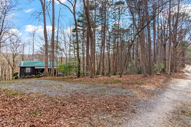 82 Dawgs Drive, Mineral Bluff, GA 30559