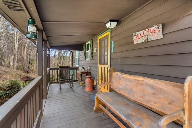 82 Dawgs Drive, Mineral Bluff, GA 30559