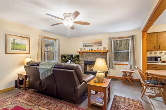 82 Dawgs Drive, Mineral Bluff, GA 30559