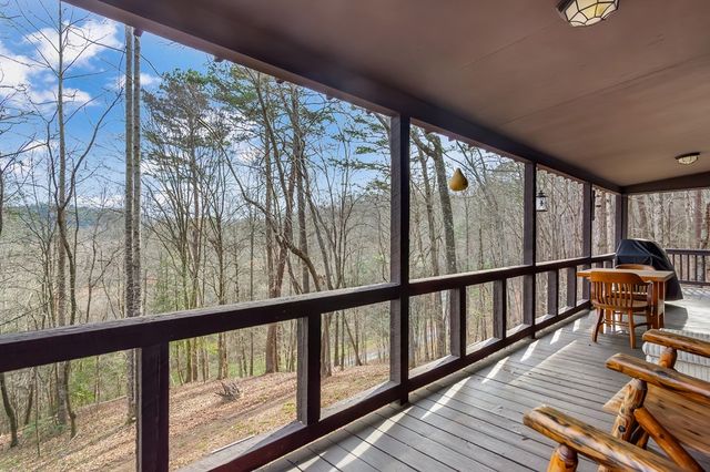 82 Dawgs Drive, Mineral Bluff, GA 30559