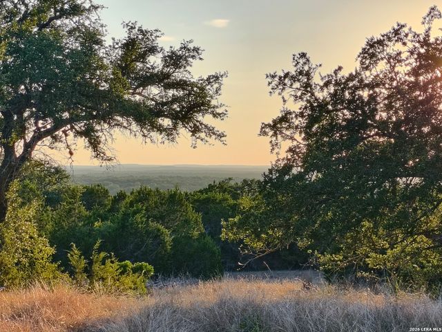 1263 Agaritaville, Spring Branch, TX 78070