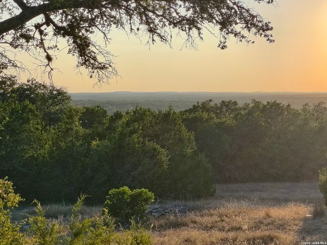 1263 Agaritaville, Spring Branch, TX 78070